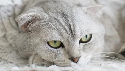 世界杯官网入口-【中乙】国青一球不敌云南昆陆 提前结束中乙之旅