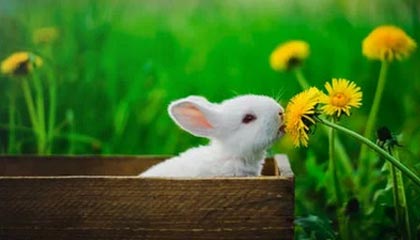 世界杯客户端下载中心-【欧冠】阿扎尔点射 比达尔染红 皇马2比0客胜国米